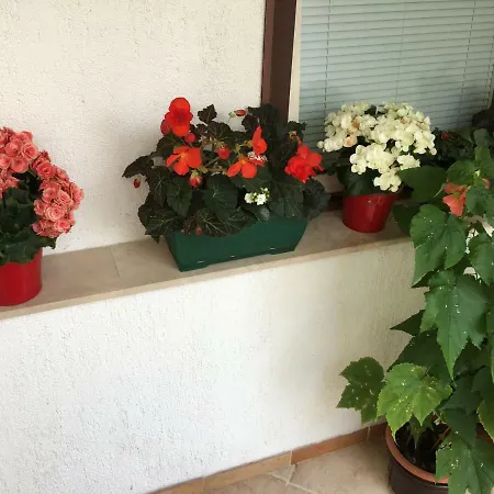 Апартаменты Lucija Нови-Винодолски