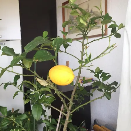 Appartement Lucija Novi Vinodolski